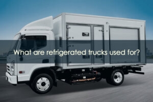 Read more about the article What Are Refrigerated Trucks Used For?