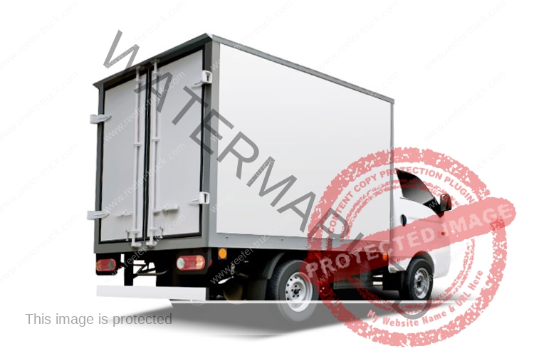 Small refrigerated truck body
