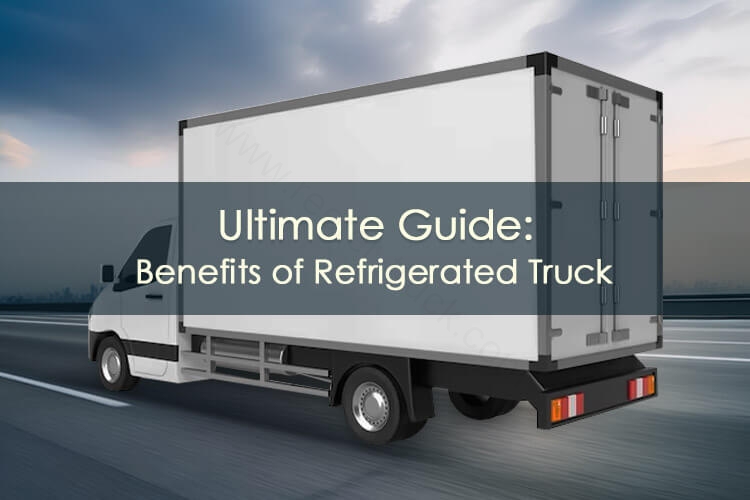 Read more about the article Ultimate Guide: Benefits of Refrigerated Truck