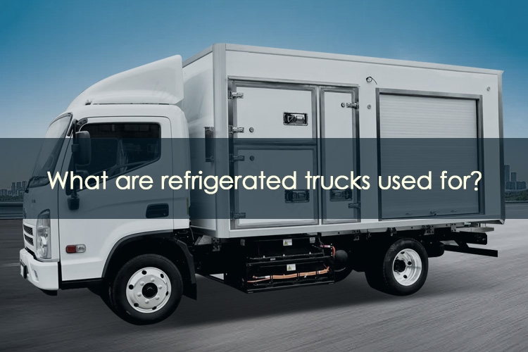 Read more about the article Difference Between Single-temperature Zone and Multi-temperature Zone