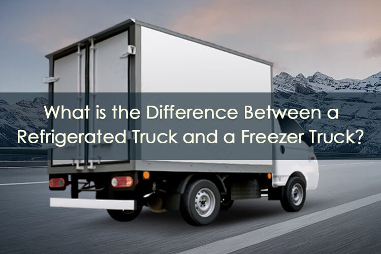 Read more about the article What is the Difference Between a Refrigerated Truck and a Freezer Truck?